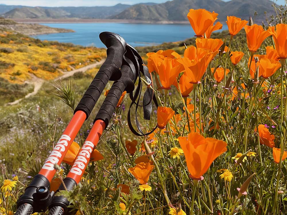 Orange collapsible hiking pole among orange wildflowers, with a trail, lake, and mountains in the background.