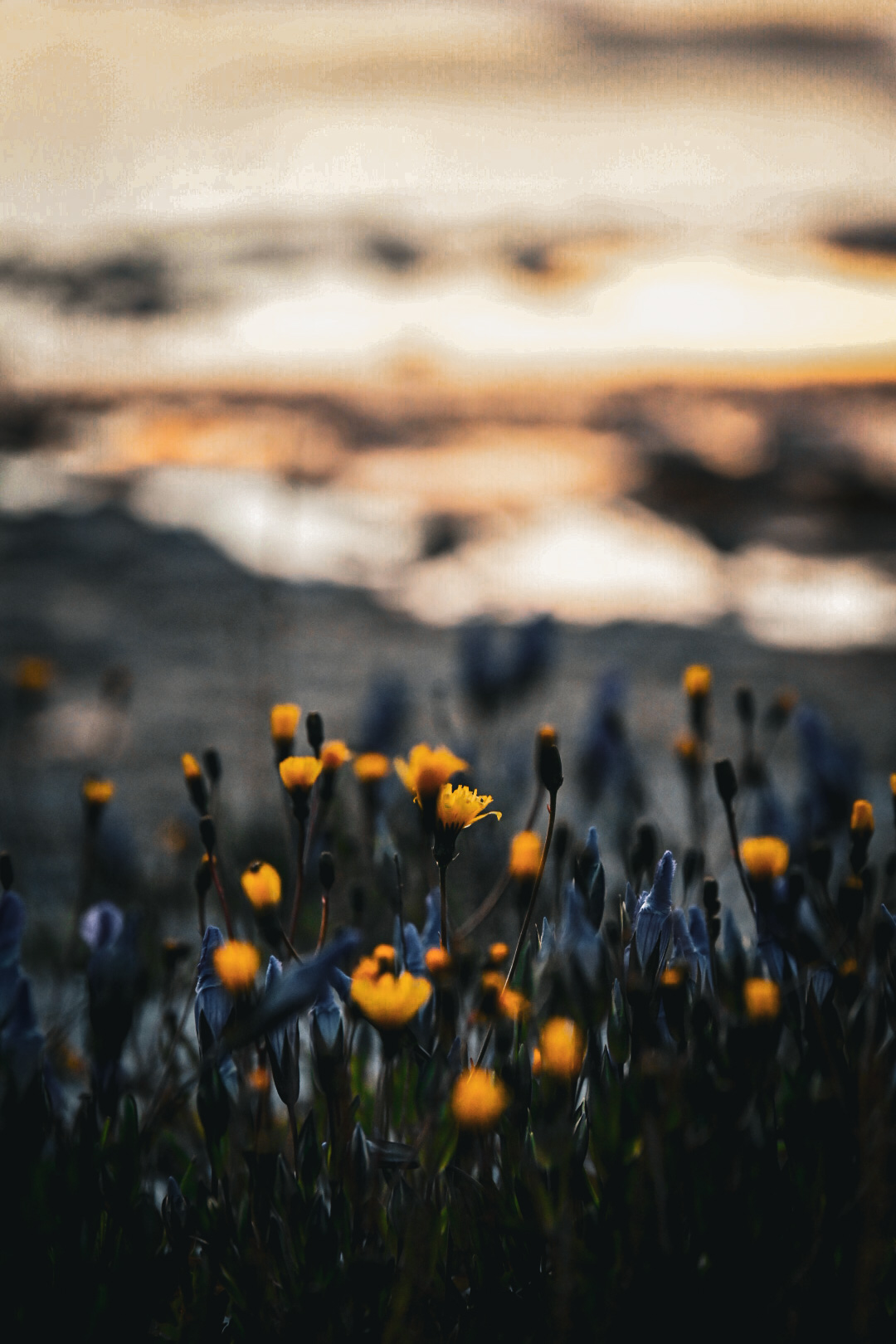 Everglades National Park