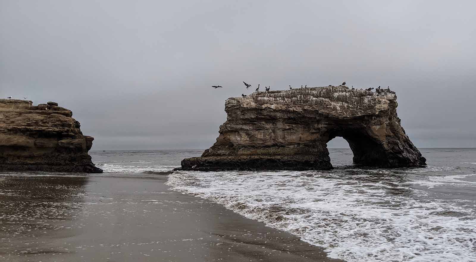 Natural Bridges with pelicans and cormorants