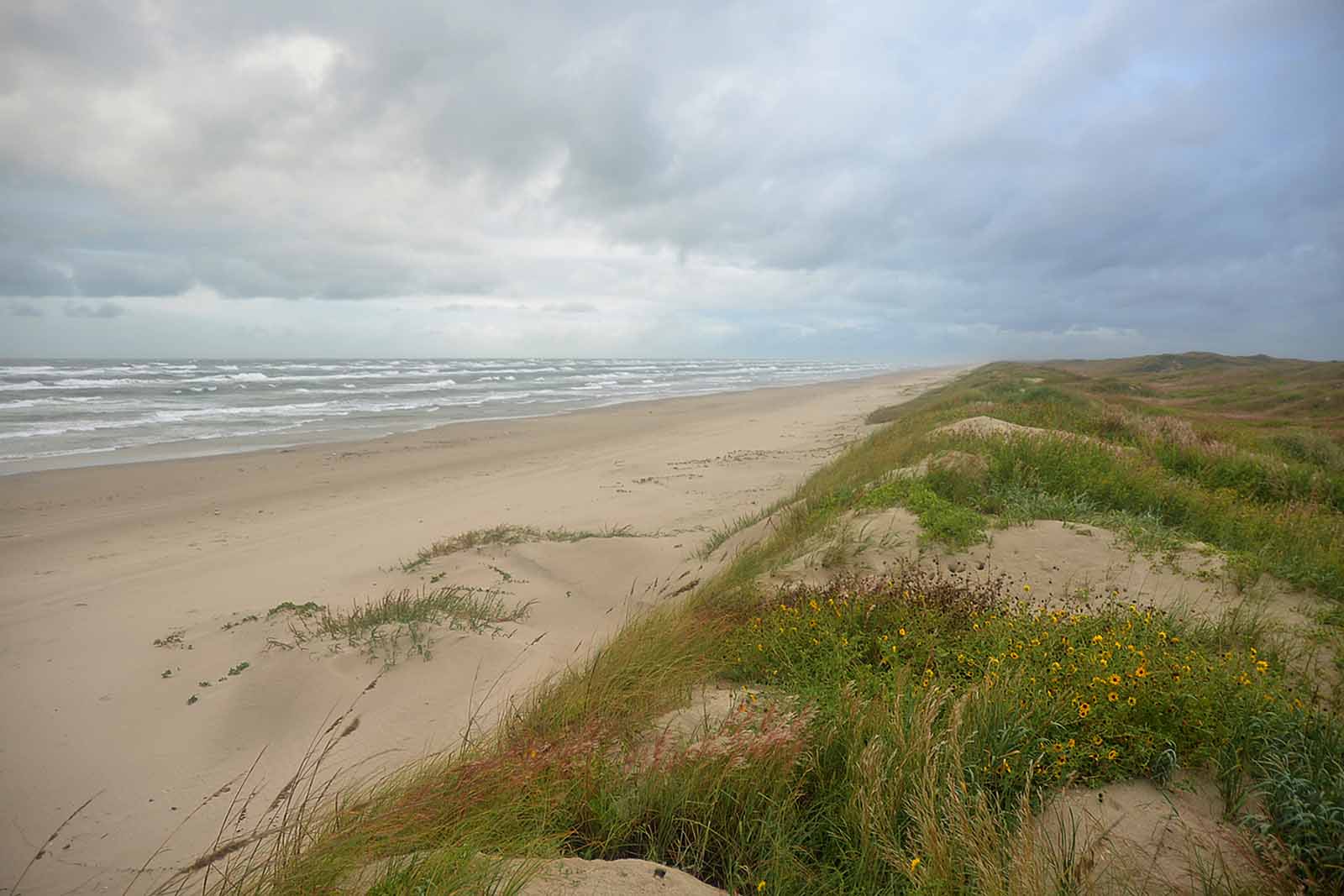 Padre Island National Seashore beach