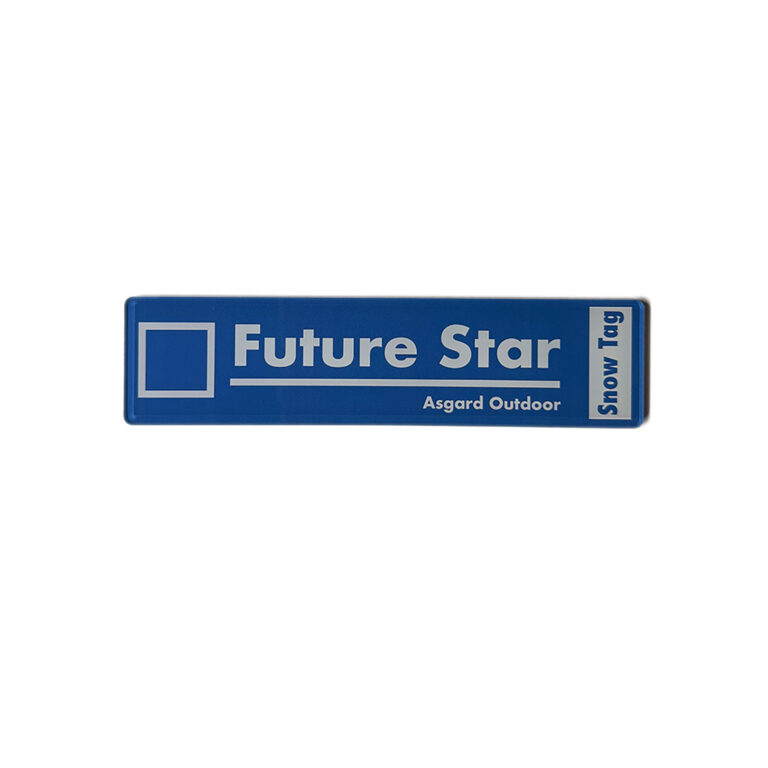 fridge magnets: future star