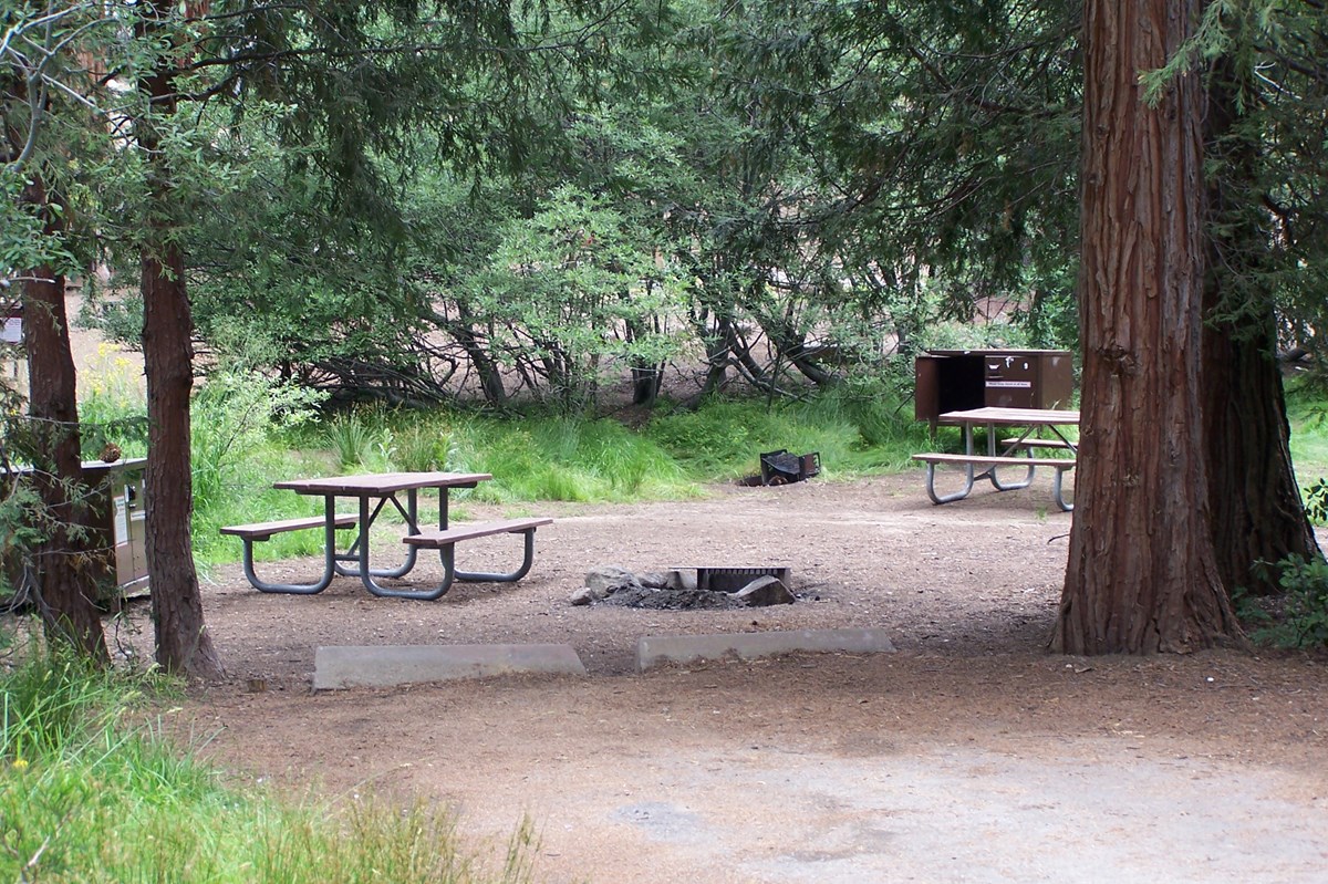 Azalea Campground Photo