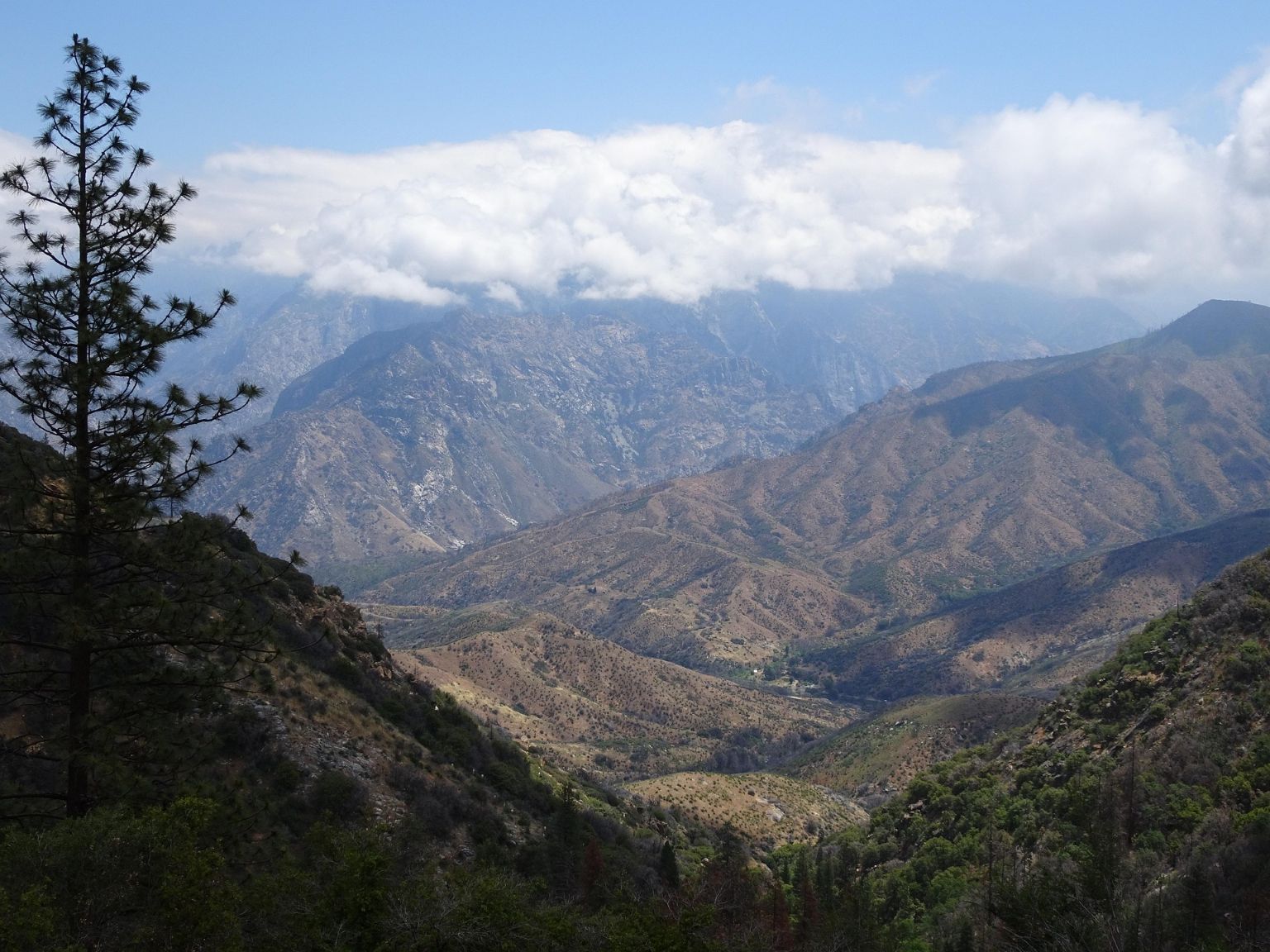 Kings Canyon Top View Image by Terry DellaVecchia from Pixabay