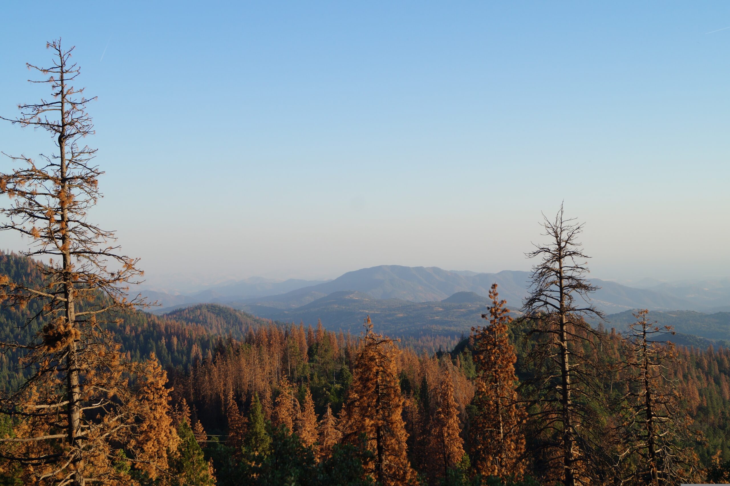 kings-canyon Image by amgonzales2 from Pixabay