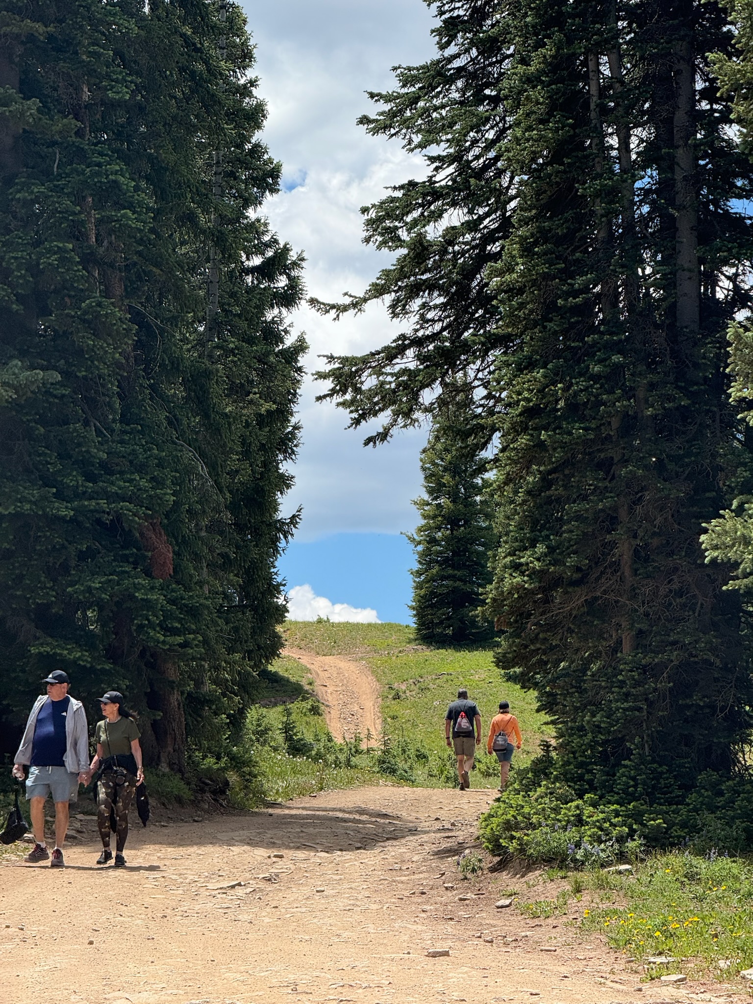 Hikers walking Aspen Mountain Trail