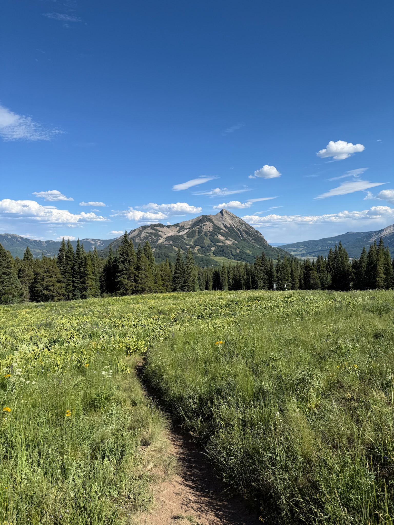 on the trail