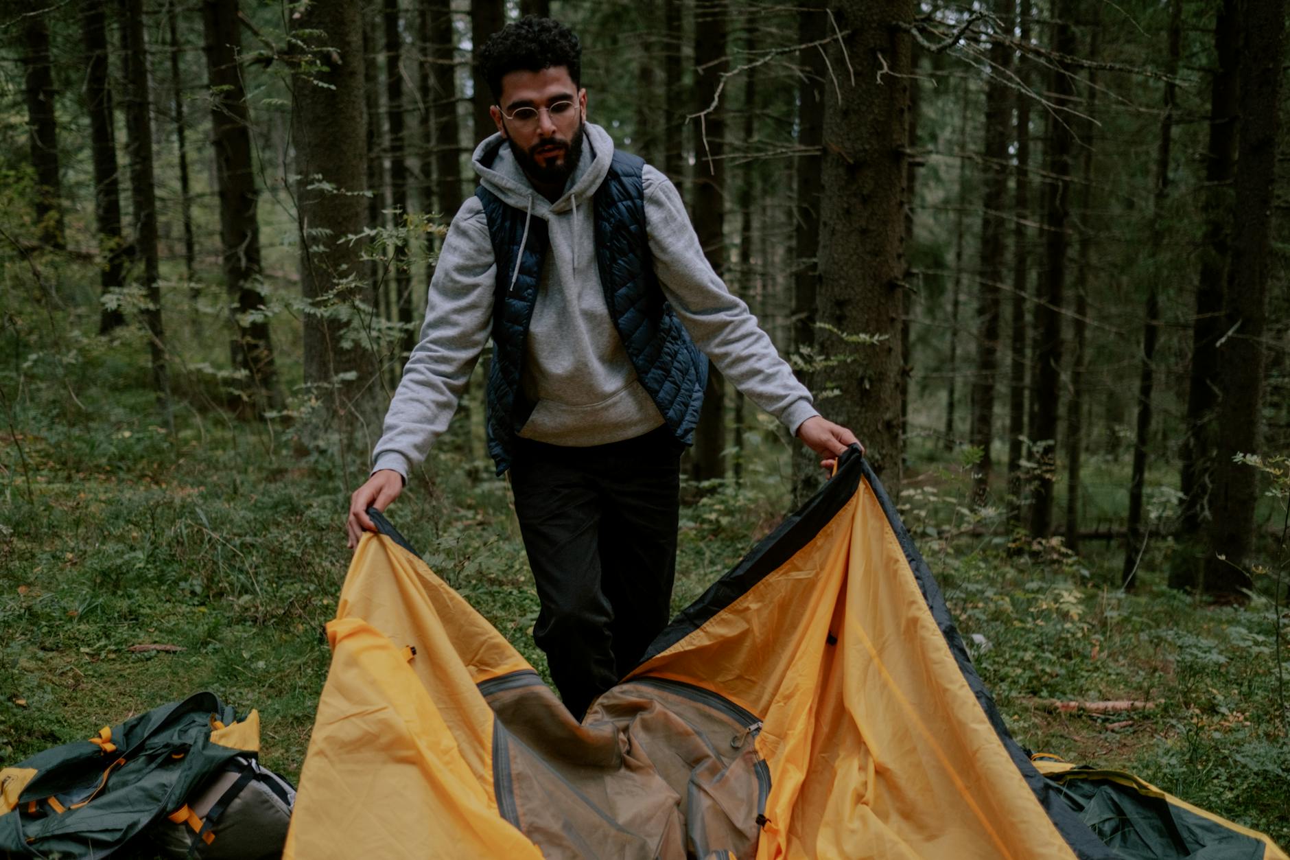 Backcountry site in forest