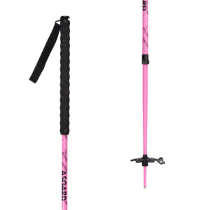 A Pair of Asgard Ski Poles