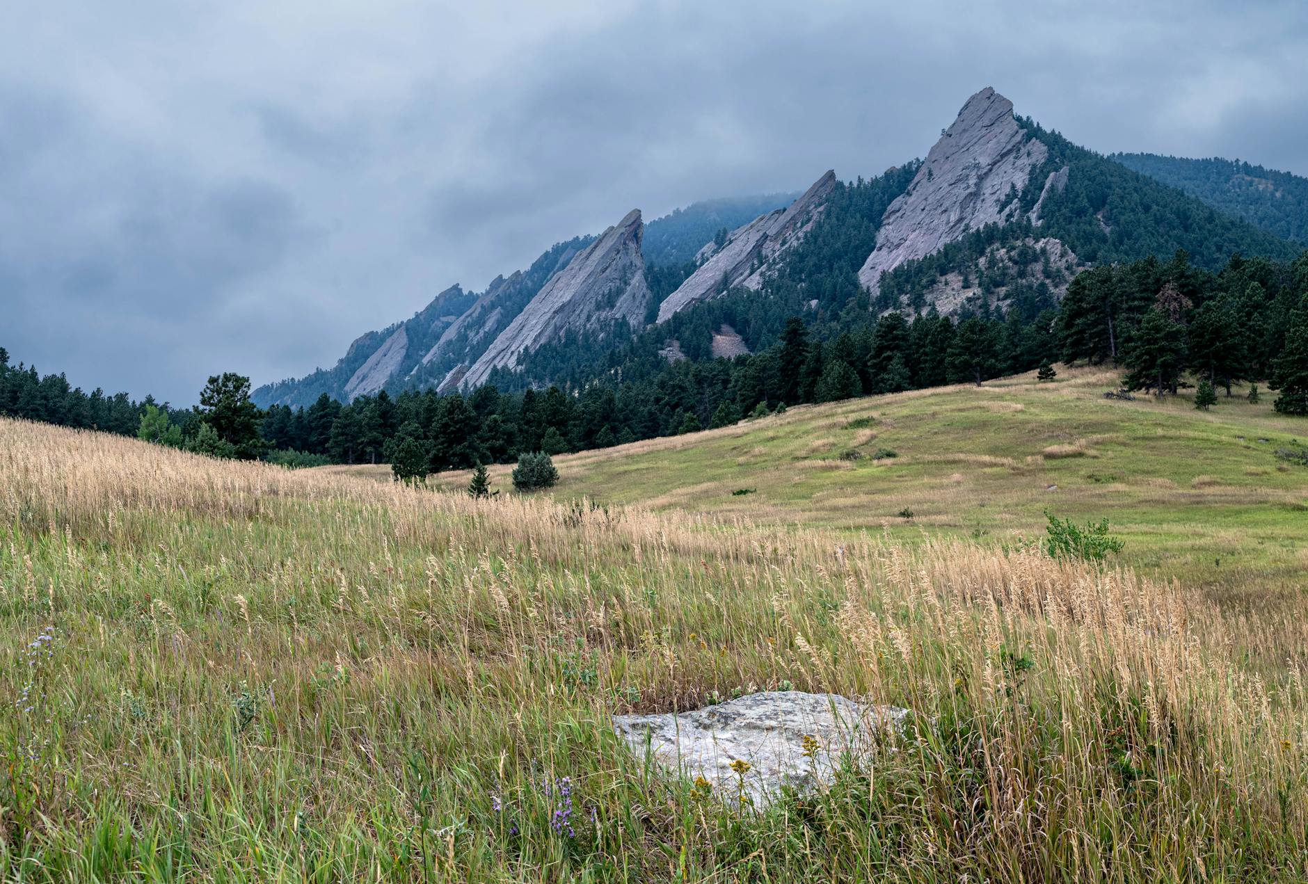 Flatirons meadow sunrise