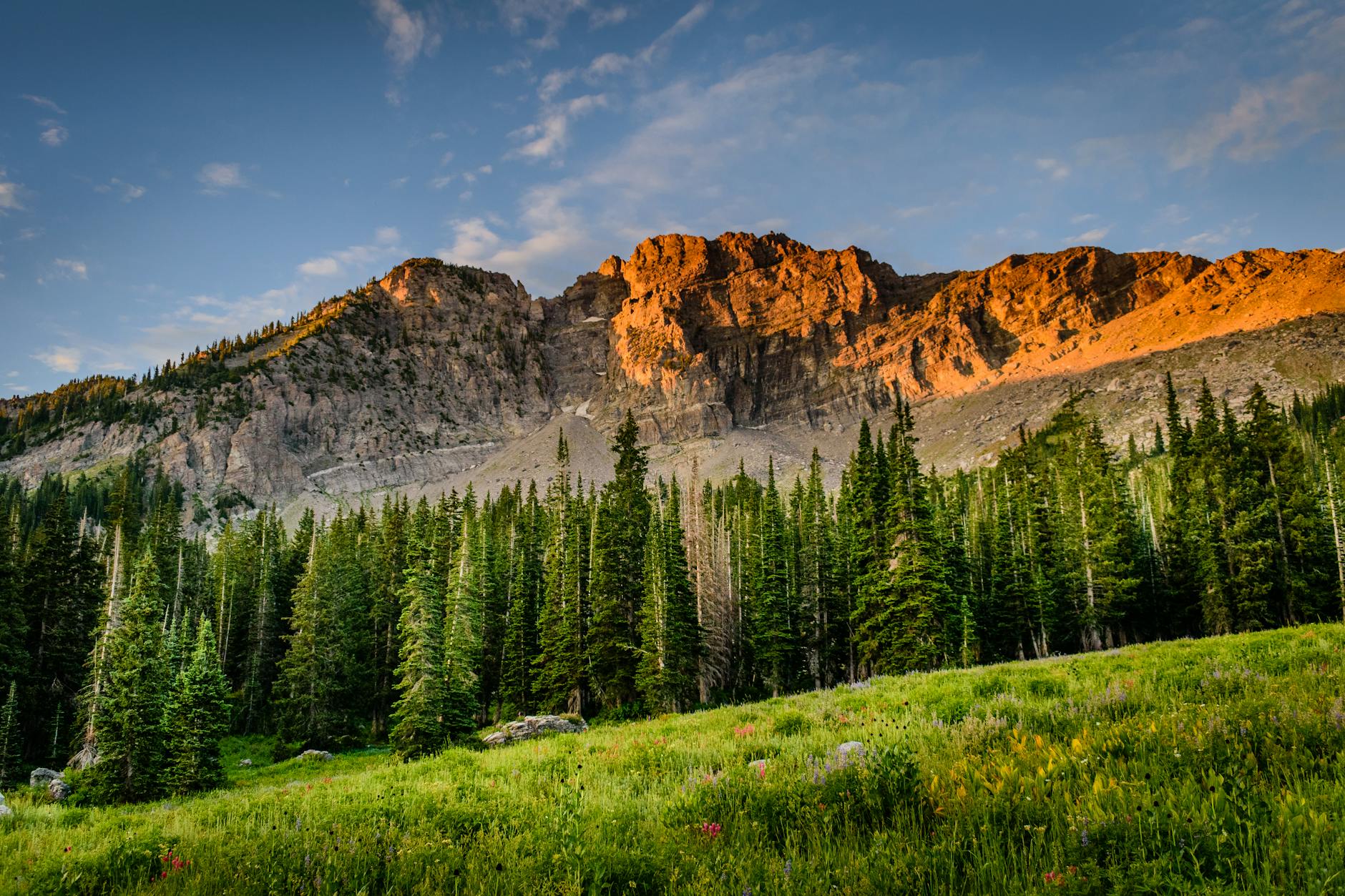 Meadow foreground sunrise