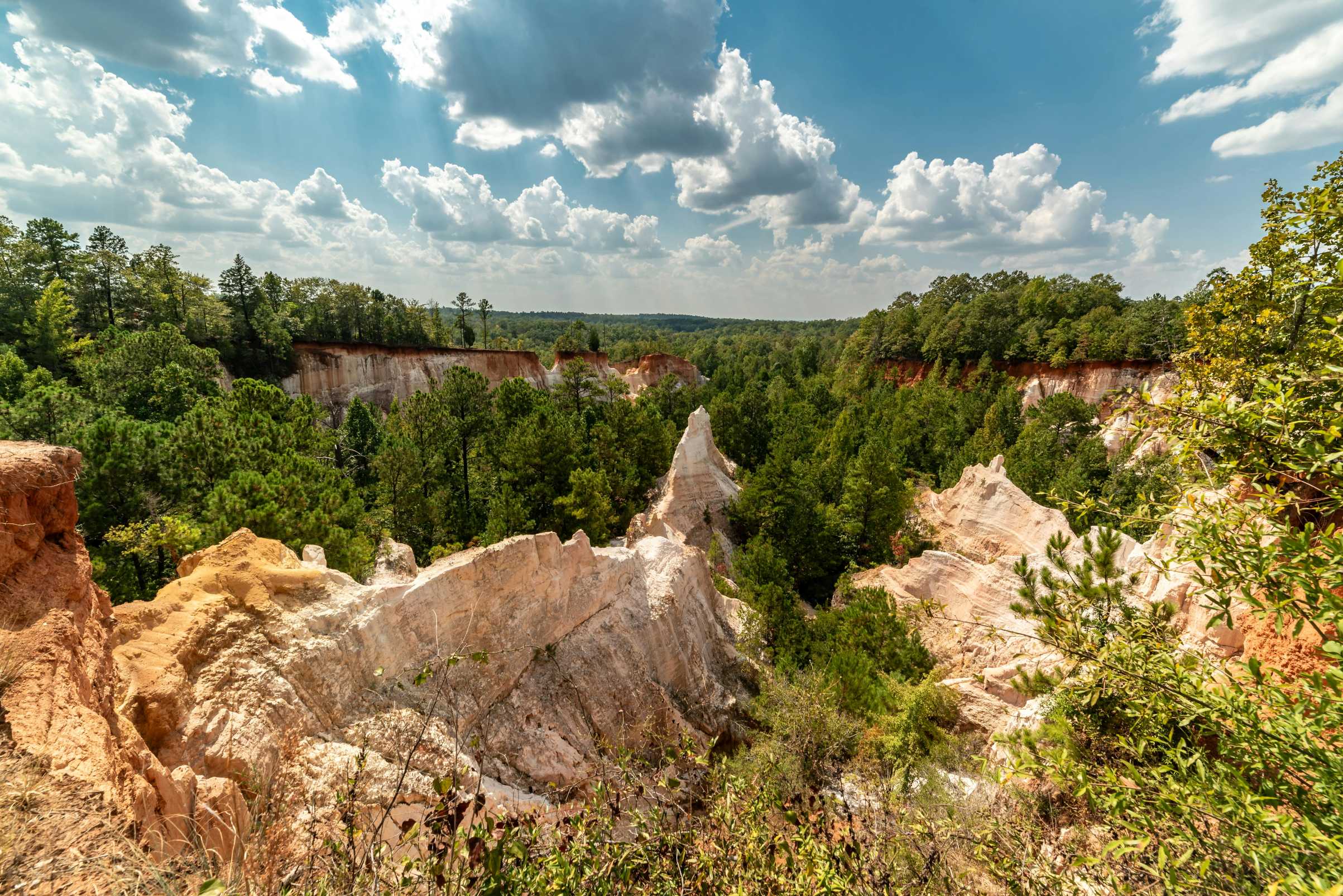 scenic-view-of-providence-canyon-in-georgia Photo by Dominik Gryzbon