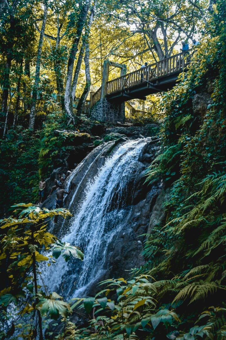 water-fall-during-daytime Photo by Greg Contreras