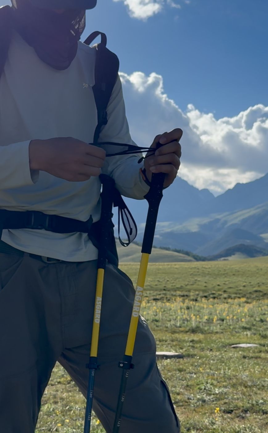 using trekking poles