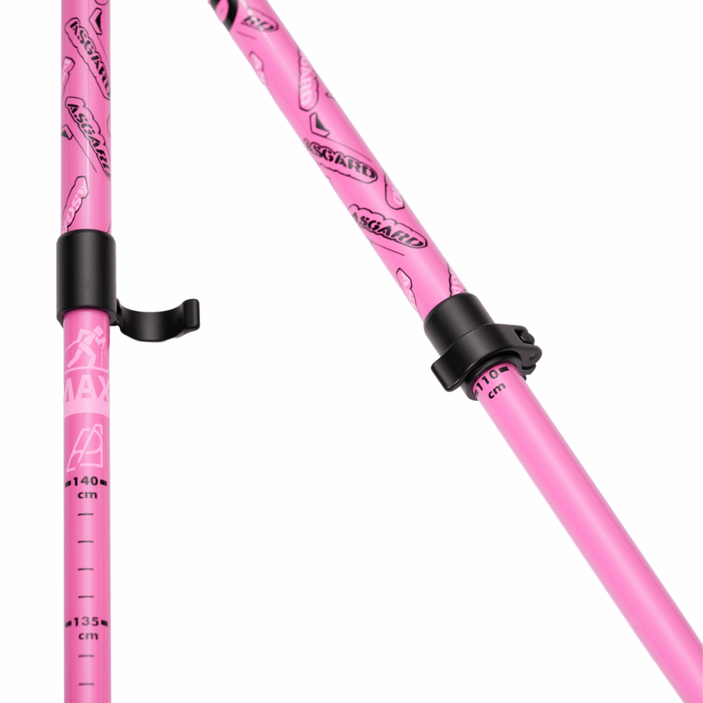 Asgard Ridge Ski Poles Lever Lock