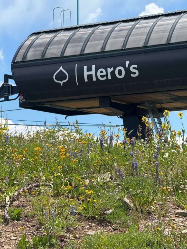 Silver Queen Gondola cabins