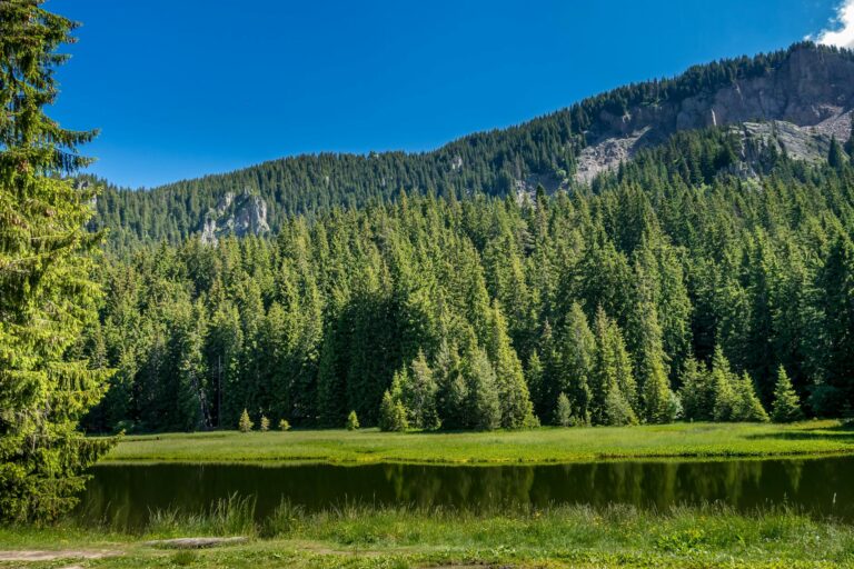 Wide view showing jagged upper peak and rolling lower slopes at Crested Butte for context-photo-by-pexels