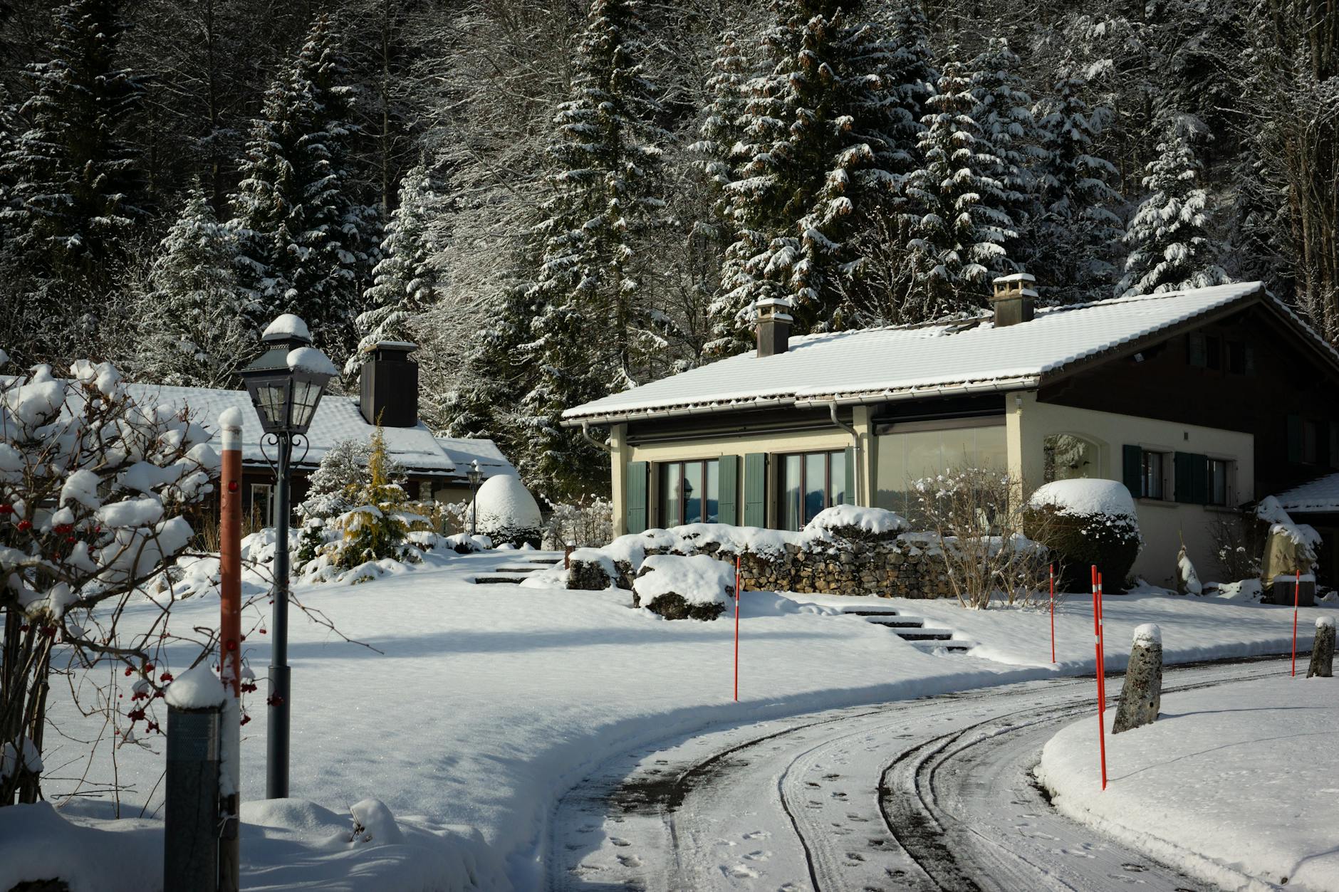 Rustic cabin rental near Gifford Pinchot State Park-photo-by-pexels